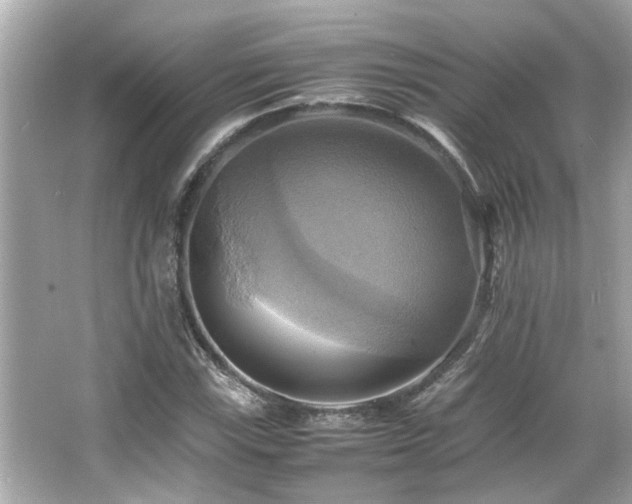 X0000066521115200603171211