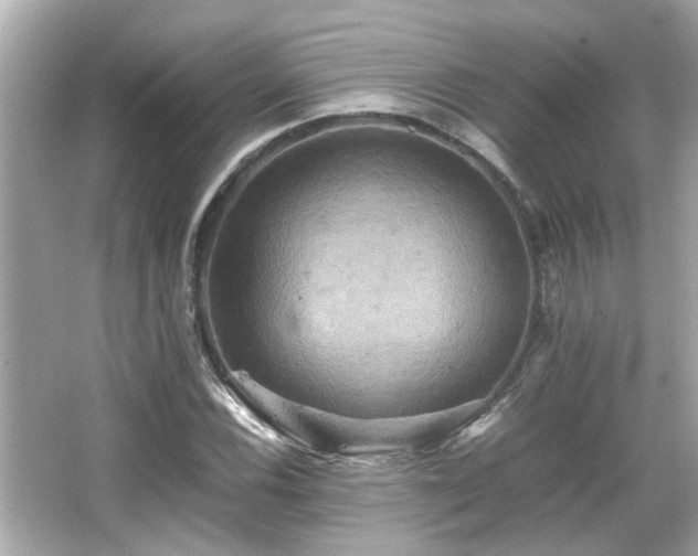 X0000066521116200603171211