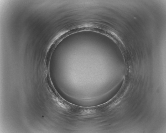 X0000066521117200603171211