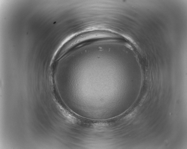 X0000066521118200603171211