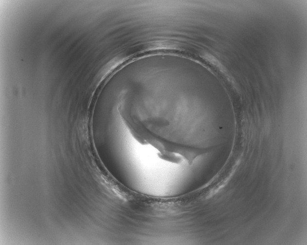 X0000066521121200603171211