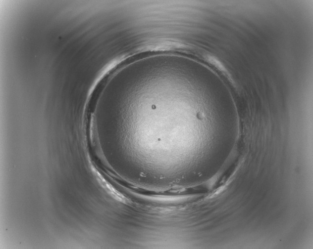 X0000066521122200603171211