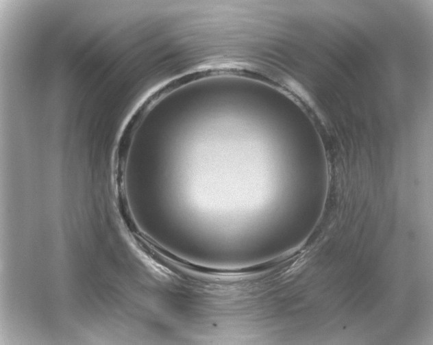 X0000066521124200603171211