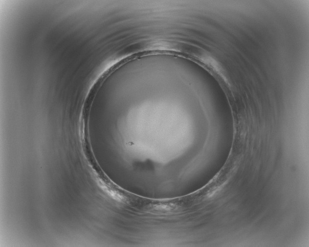 X0000066521125200603171211