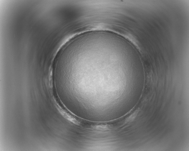 X0000066521126200603171211