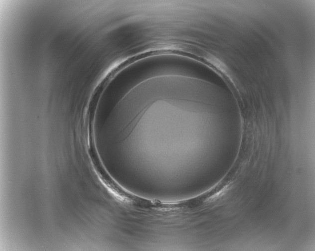 X0000066521127200603171211