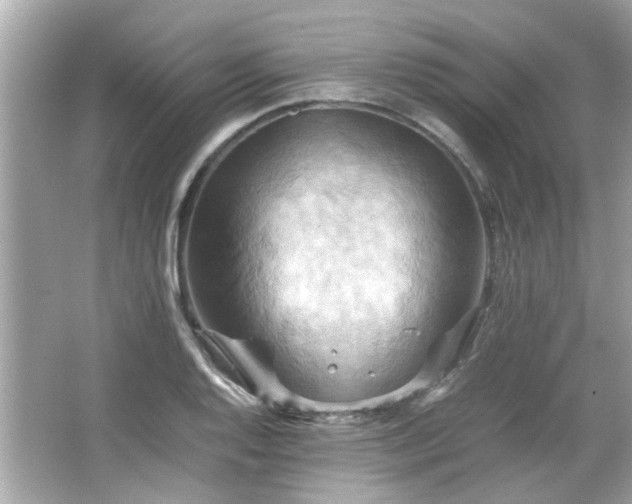 X0000066521128200603171211