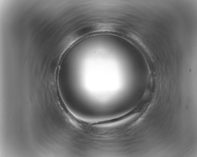 X0000066521129200603171211