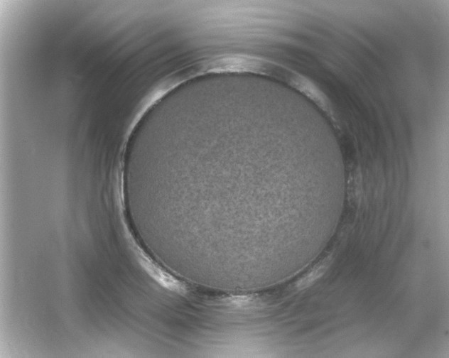 X0000066521130200603171211