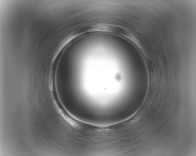 X0000066521131200603171211