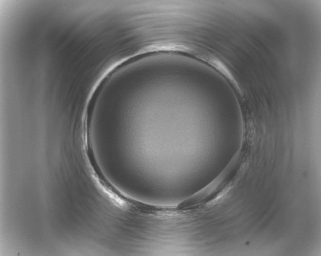 X0000066521132200603171211