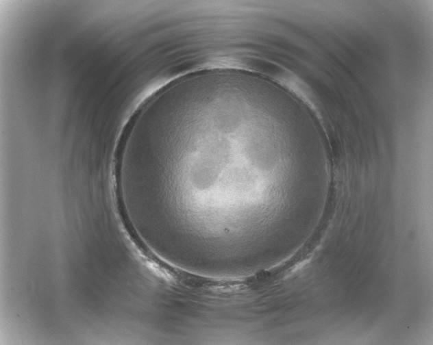 X0000066521133200603171211