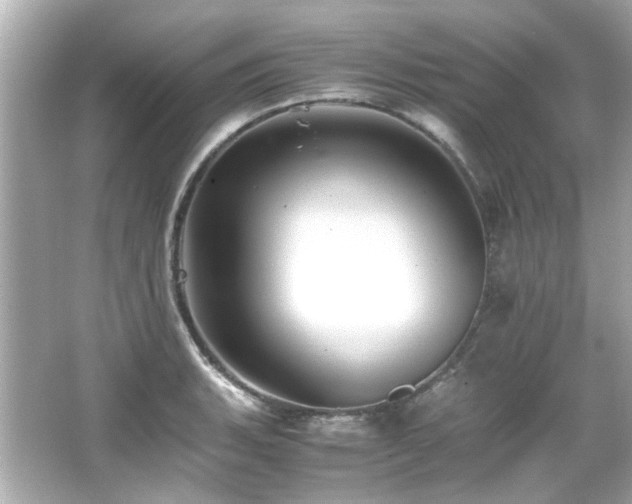 X0000066521135200603171211