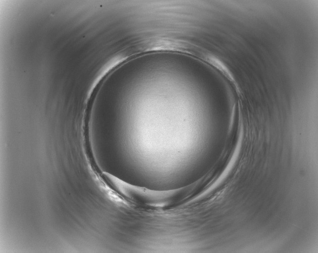 X0000066521138200603171211