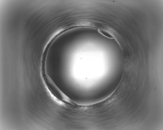 X0000066521139200603171211