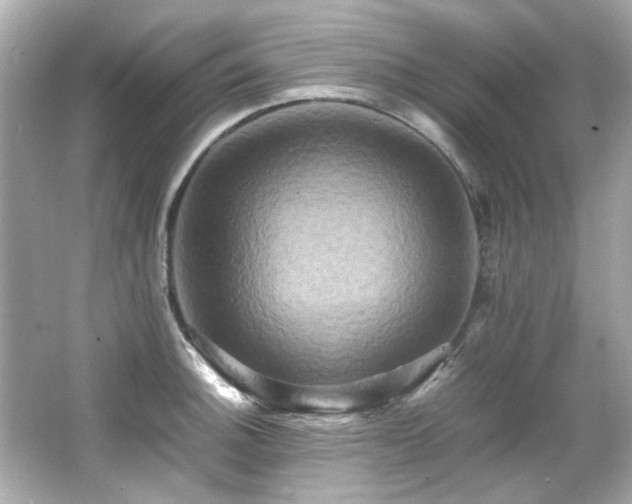 X0000066521140200603171211