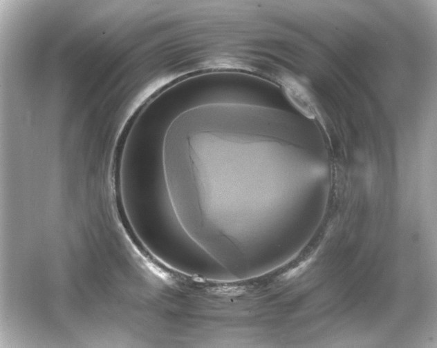 X0000066521141200603171211