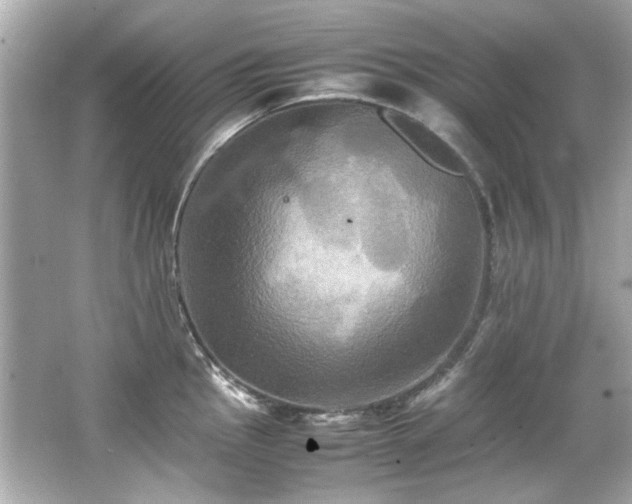 X0000066521145200603171211