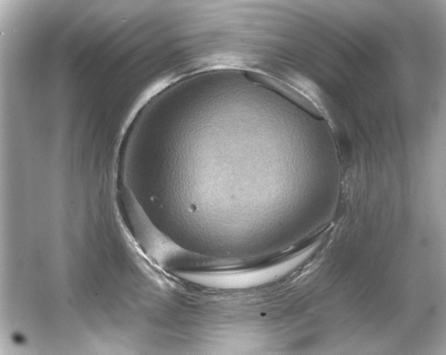 X0000066521146200603171211