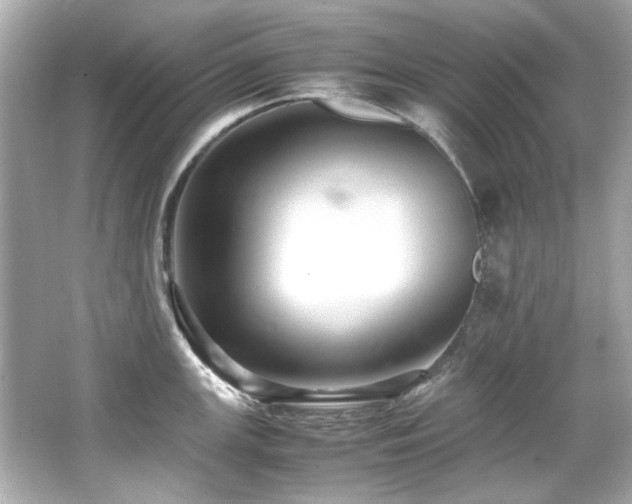 X0000066521147200603171211