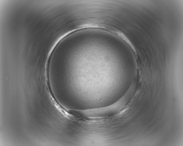 X0000066521148200603171211