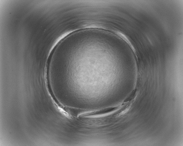 X0000066521149200603171211