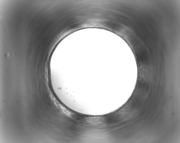 X0000066521150200603171211