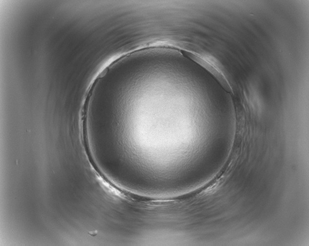 X0000066521151200603171211