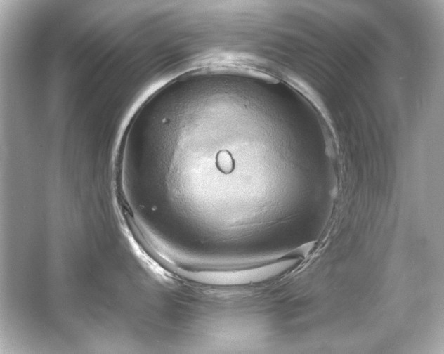 X0000066521152200603171211