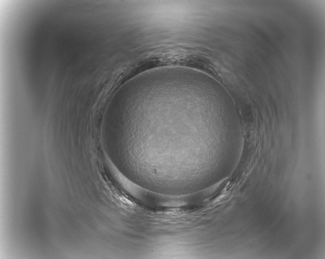 X0000066521153200603171211