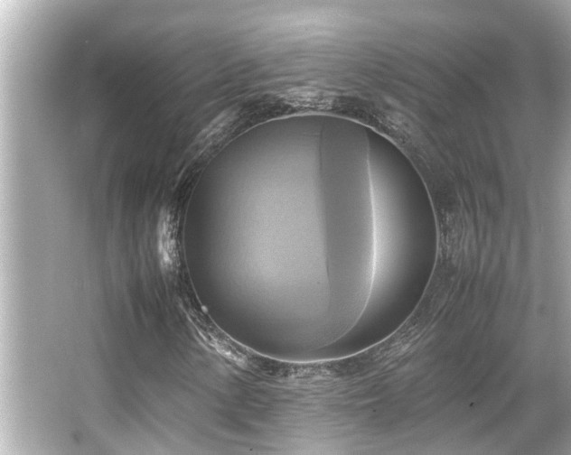 X0000066521154200603171211