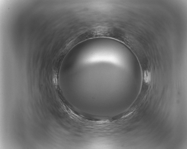 X0000066521155200603171211