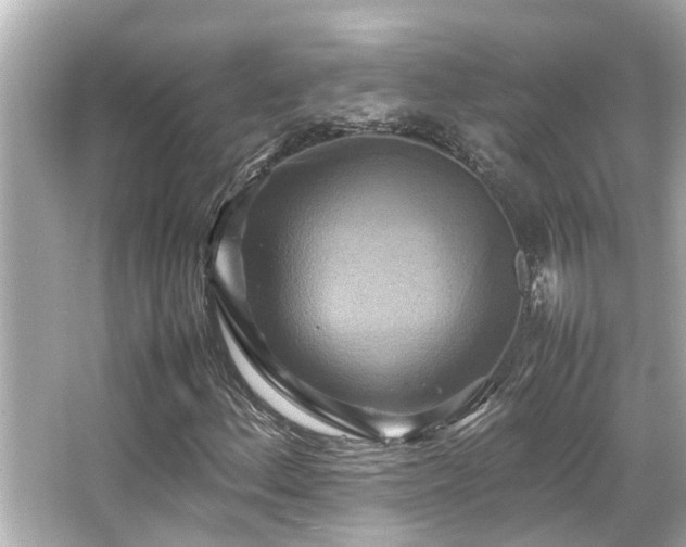 X0000066521156200603171211