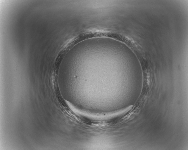 X0000066521157200603171210