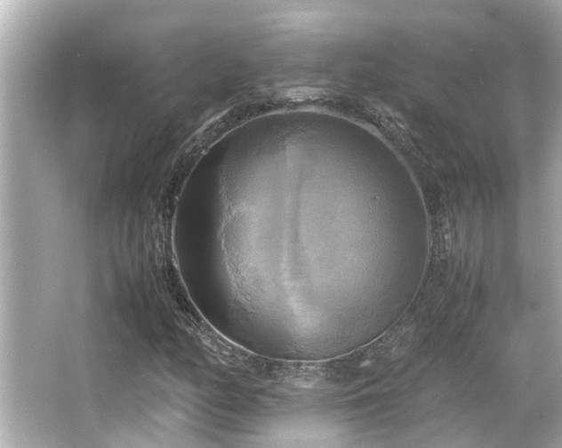 X0000066521158200603171210