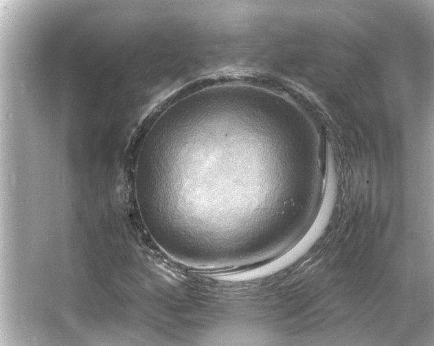 X0000066521160200603171210