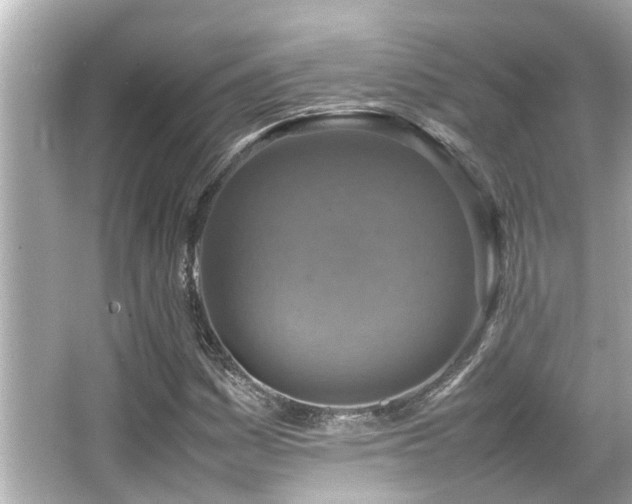 X0000066521161200603171210