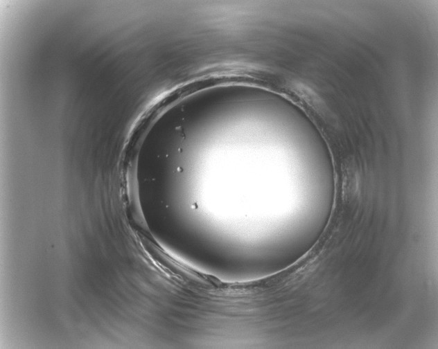 X0000066521164200603171210