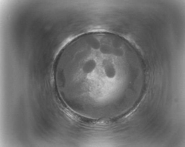 X0000066521167200603171210