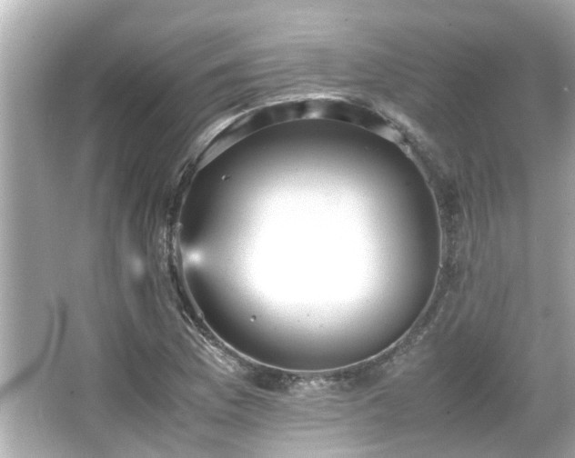 X0000066521169200603171210