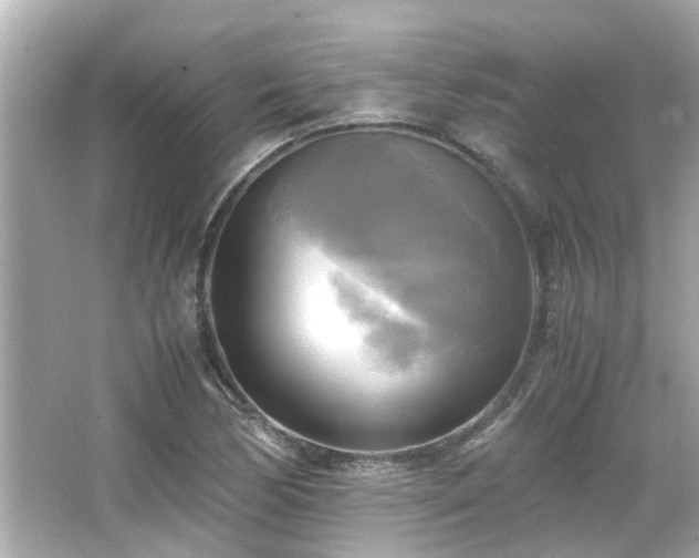 X0000066521170200603171210