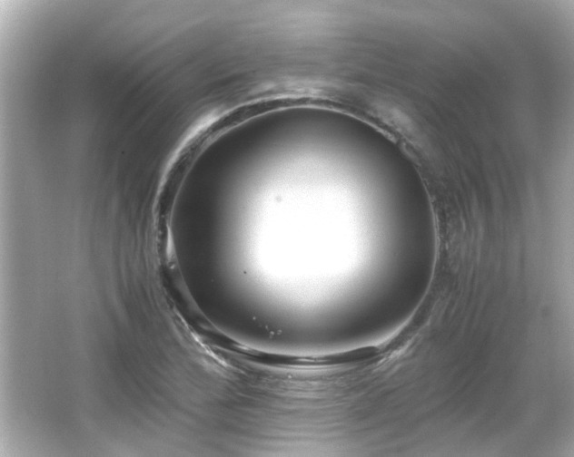 X0000066521172200603171210