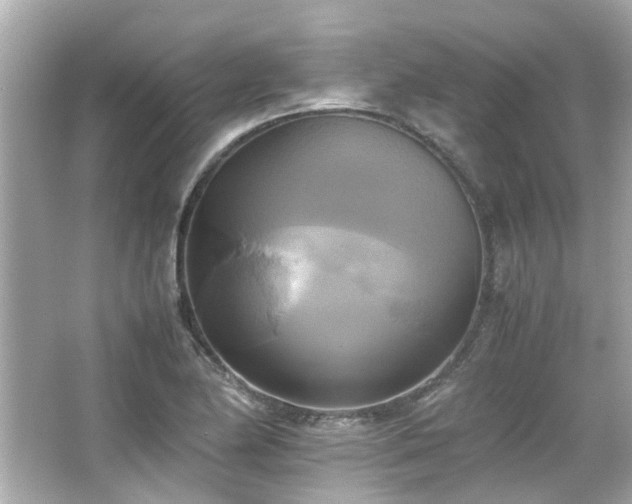 X0000066521174200603171210