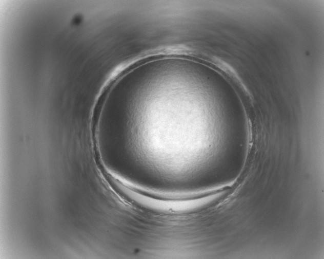 X0000066521176200603171210