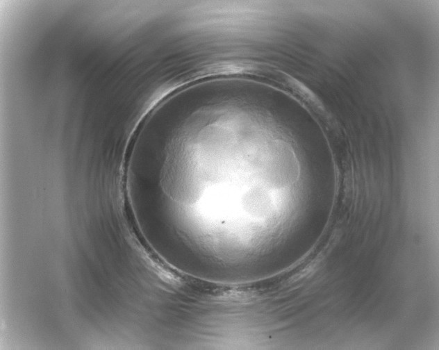 X0000066521178200603171210