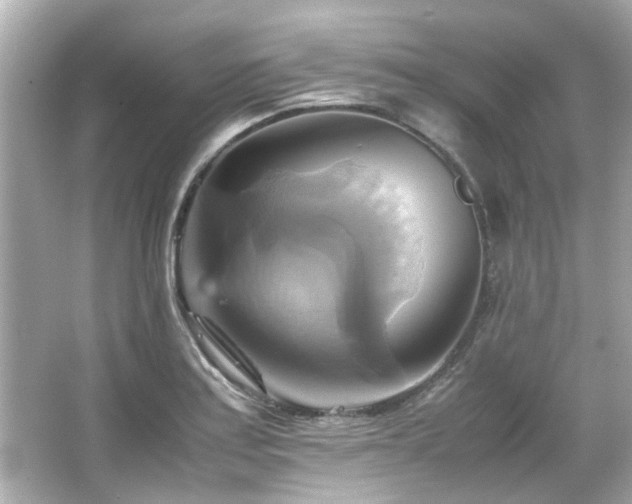 X0000066521179200603171210