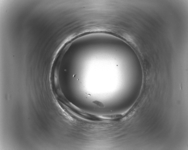 X0000066521181200603171210