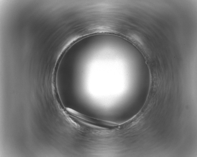 X0000066521182200603171210