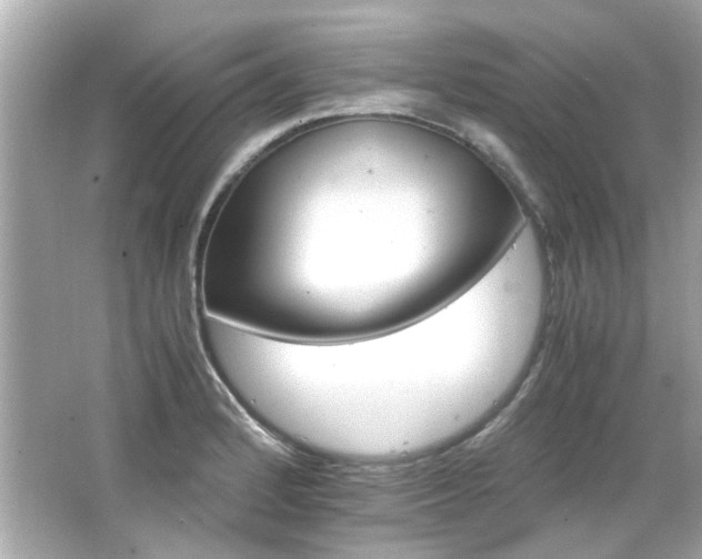 X0000066521184200603171210