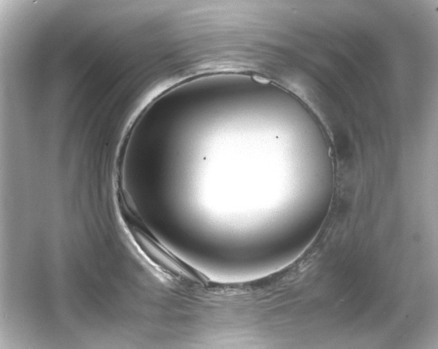 X0000066521187200603171210